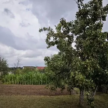 Участок в Калининградская область, Гурьевский муниципальный округ, ...