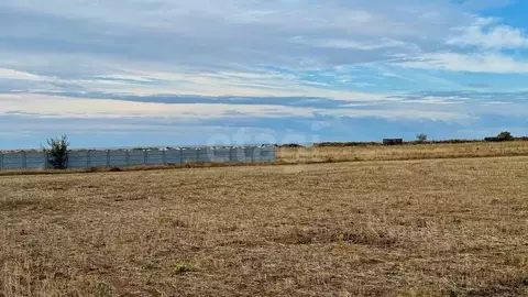 Участок в Крым, Сакский район, с. Молочное  (6.0 сот.)