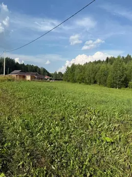 Участок в Кировская область, Слободской район, Шиховское с/пос, д. ...