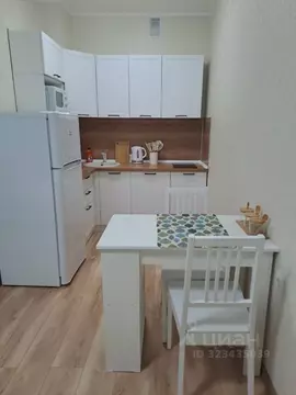 Студия Башкортостан, Уфа ул. Мира, 8 (26.0 м)