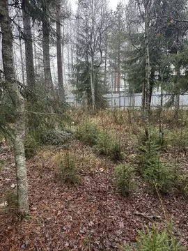 Участок в Ленинградская область, Всеволожский район, Лесколовское ...