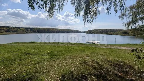 Участок в Новосибирская область, Новосибирский район, Березовский ...