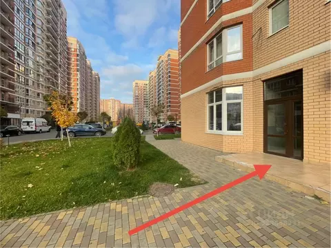 Помещение свободного назначения в Краснодарский край, Краснодар ул. ...