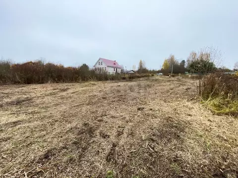 Участок в Ярославская область, Рыбинский муниципальный округ, с. Спасс ...