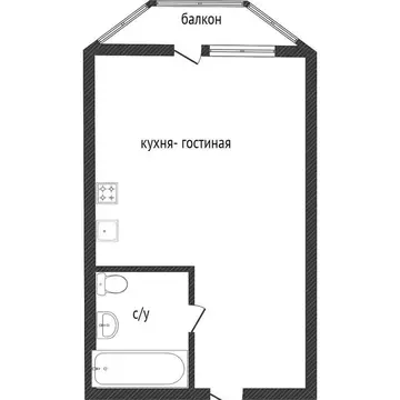 Квартира-студия: Воронеж, Беговая улица, 223/4 (32 м)