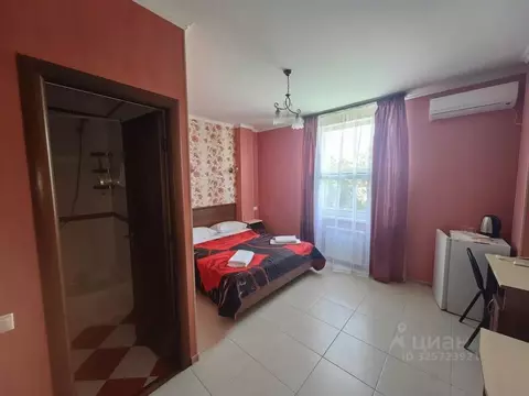 Студия Краснодарский край, Анапа ул. Толстого, 106 (14.0 м)