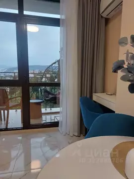 1-к кв. Краснодарский край, Сочи Центральный мкр, ул. Войкова, 34 ...