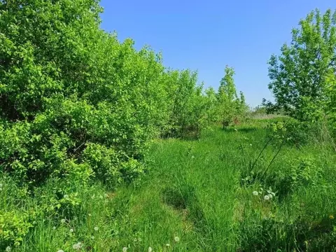 Участок в Владимирская область, Собинский муниципальный округ, д. ...