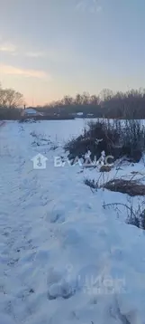 Участок в Воронежская область, Новоусманский район, с. Рогачевка  ...