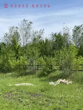 Участок в Самарская область, Кинель Радуга кп, проезд Конный (5.0 ...