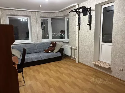 1-к кв. Санкт-Петербург пос. Парголово, Заречная ул., 45к1 (39.8 м)