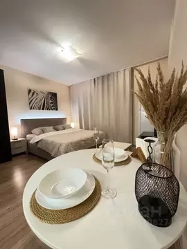 Студия Ленинградская область, Кудрово г. Всеволожский район, Заневское ...