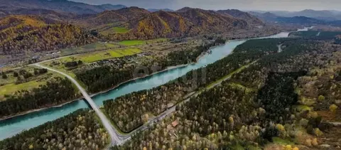 Участок в Алтай, Майминский район, Соузгинское с/пос, пос. Черемшанка ...