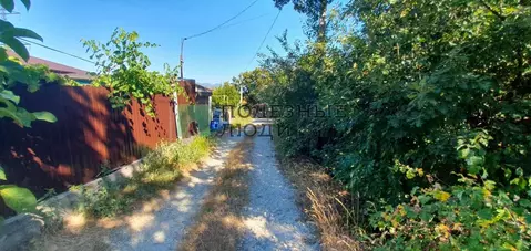 Участок в Краснодарский край, Новороссийск Труженик СНТ, 52 (6.5 сот.)