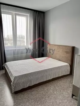 Студия Красноярский край, Красноярск ул. Лесников, 55 (34.0 м)