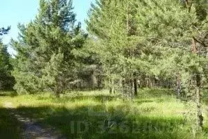 Участок в Бурятия, Улан-Удэ Местность тх,  (6.0 сот.)