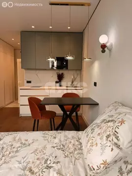 Квартира-студия: Тула, Путейская улица, 11 (26 м)