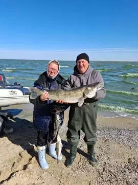 Дом в Московская область, Можайский муниципальный округ, Крылатки СНТ ...