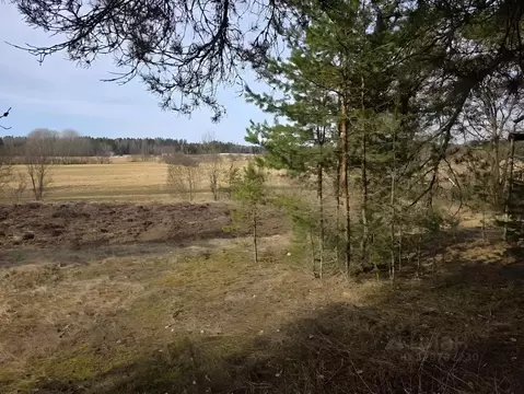 Участок в Ленинградская область, Приозерский район, Мельниковское ...