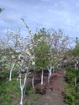 Участок в Ставропольский край, Ставрополь Кравцово садовое ...