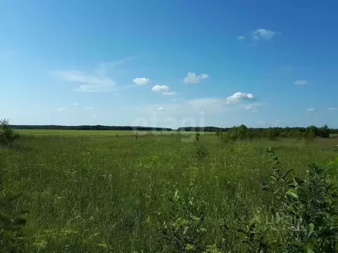 Участок в Пермский край, Добрянка Крутая Гора-2 мкр,  (15.0 сот.)