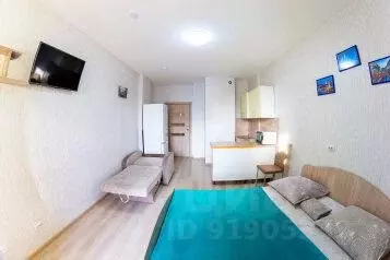 1-к кв. Пермский край, Пермь ул. Революции, 52В (30.0 м)