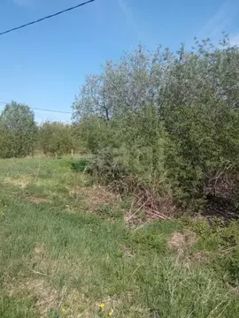 Участок в Вологодская область, Сокольский муниципальный округ, ...