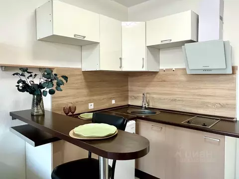 Студия Санкт-Петербург ш. Суздальское, 18к3 (25.0 м)