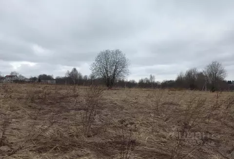 Участок в Московская область, Дмитровский муниципальный округ, д. ...