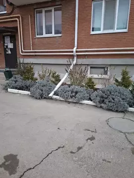 1-к кв. Краснодарский край, Краснодар ул. Имени Ф.И. Шаляпина, ...