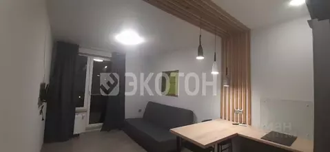 Студия Санкт-Петербург ул. Среднерогатская, 13к1 (25.0 м)