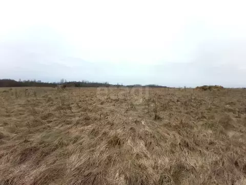 Участок в Псковская область, Псковский район, Логозовская волость, д. ...