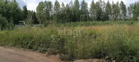 Участок в Коми, Сыктывдинский муниципальный район, Выльгорт ...