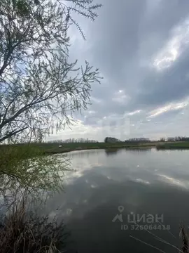 Участок в Ростовская область, Мясниковский район, с. Большие Салы ул. ...