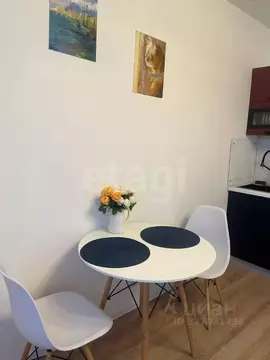 Студия Ярославская область, Ярославль ул. Лескова, 38 (23.9 м)