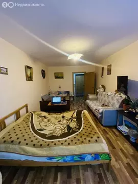 1-комнатная квартира: Нижний Новгород, Первоцветная улица, 4к1 (43 м)