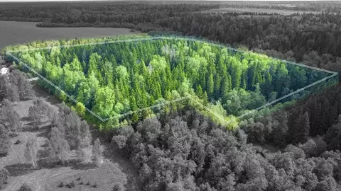 Участок в Московская область, Одинцовский городской округ, Рига лес кп ...