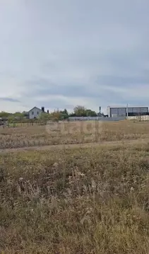 Участок в Воронежская область, Рамонский район, Новоживотинновское ...