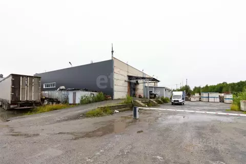 Склад в Тюменская область, Тюмень ул. Промзона, 1с1 (1182 м)