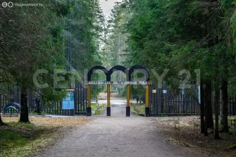 Дом в городской посёлок Рощино, улица Сухотского, 1 (40 м)