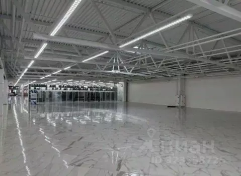 Торговая площадь в Санкт-Петербург Дунайский просп., 27к1 (800 м)