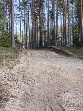 Участок в Ленинградская область, Приозерский район, пос. Сосново ул. ...