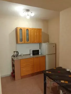 2-к кв. Алтайский край, Барнаул Лазурная ул., 1 (55.0 м)