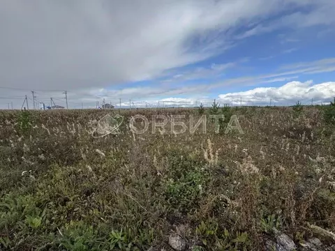 Участок в Тюменская область, Тюменский район, д. Малиновка ул. ...