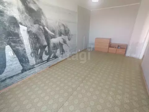 1-к кв. Курганская область, Шадринск Февральская ул., 44 (29.4 м)