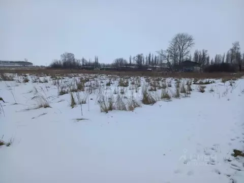 Участок в Курская область, Горшеченский район, Куньевский сельсовет, ...
