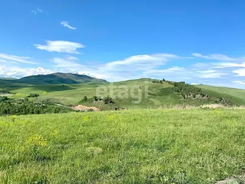 Участок в Алтайский край, Алтайский район, Жемчужина Алтая ДНТ проезд ...