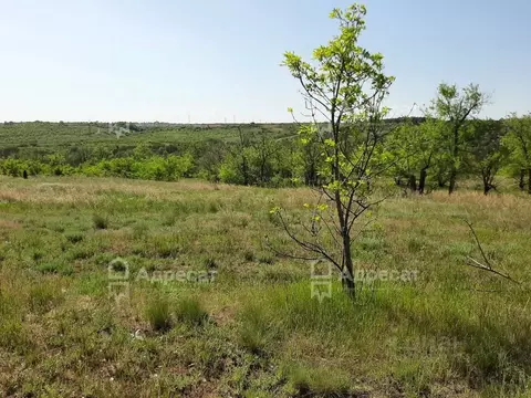 Участок в Волгоградская область, Городищенский район, Царицынское ...