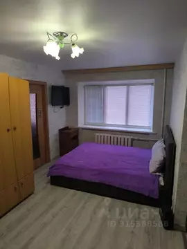 1-к кв. Псковская область, Псков ул. Гагарина, 7 (30.0 м)