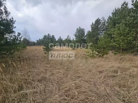 Участок в Воронежская область, Рамонский район, с. Новоживотинное  ...